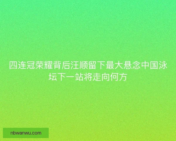四连冠荣耀背后汪顺留下最大悬念中国泳坛下一站将走向何方 四连冠荣耀背后汪顺留下最大悬念中国泳坛下一站将走向何方