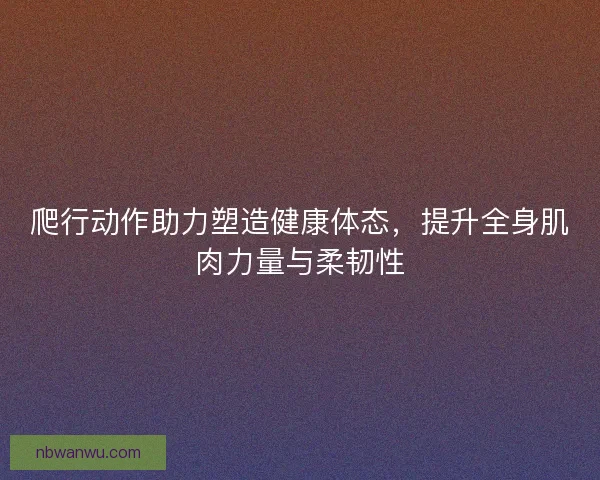 爬行动作助力塑造健康体态，提升全身肌肉力量与柔韧性