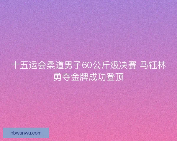 十五运会柔道男子60公斤级决赛 马钰林勇夺金牌成功登顶
