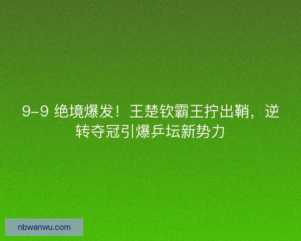 9-9 绝境爆发！王楚钦霸王拧出鞘，逆转夺冠引爆乒坛新势力