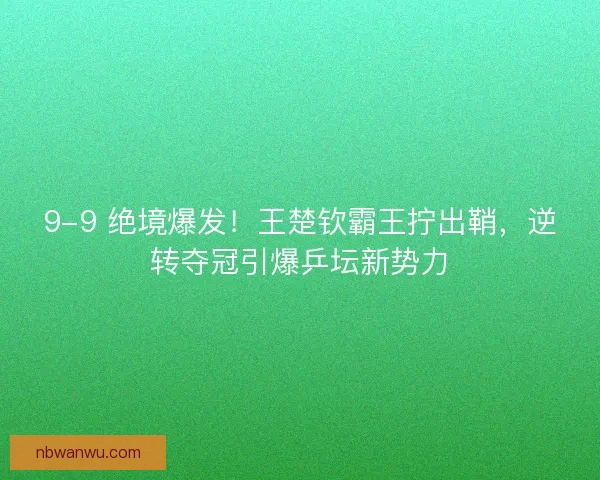9-9 绝境爆发！王楚钦霸王拧出鞘，逆转夺冠引爆乒坛新势力